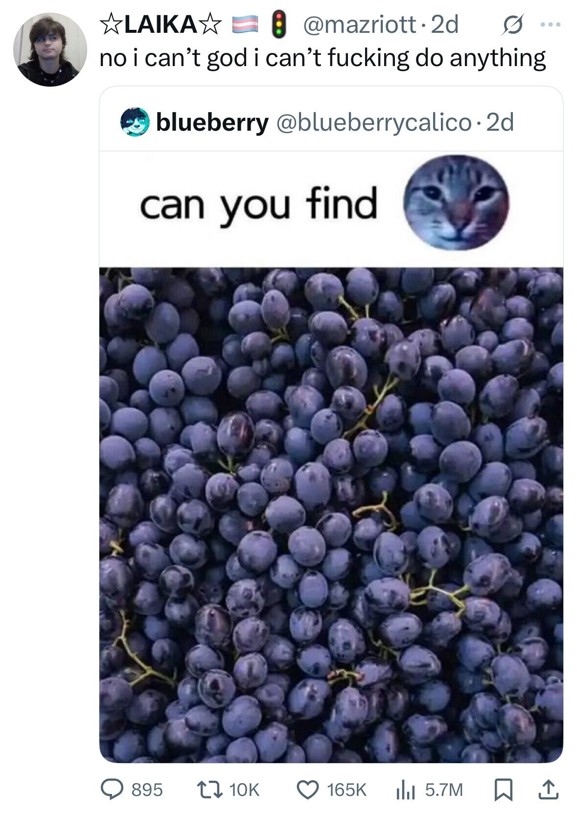 LAIKA @mazriott.2d G ... no i can't god i can't fucking do anything blueberry @blueberrycalico-2d can you find 895 10K 165K del 5.7M 