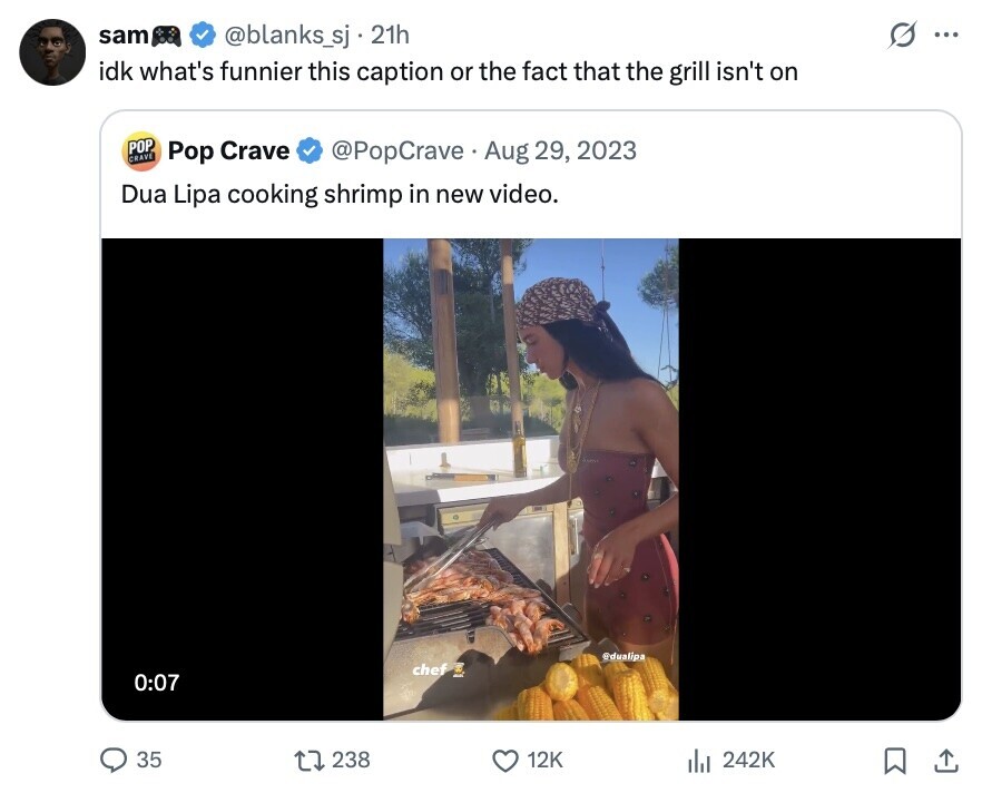 sam O @blanks_sj 21h ... idk what's funnier this caption or the fact that the grill isn't on POP CRAVE Pop Crave @PopCrave Aug 29, 2023 Dua Lipa cooking shrimp in new video. @dualipa chef 0:07 35 238 12K 242K 