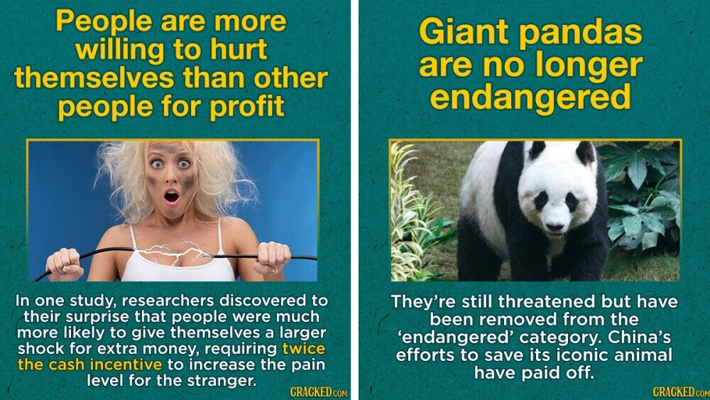 12 Facts That Make Us A Little More Hopeful About Humanity | Cracked.com