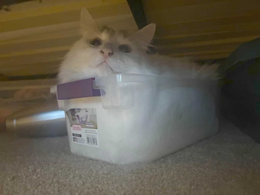 ClearView LATCH Sterilite - 7354575117