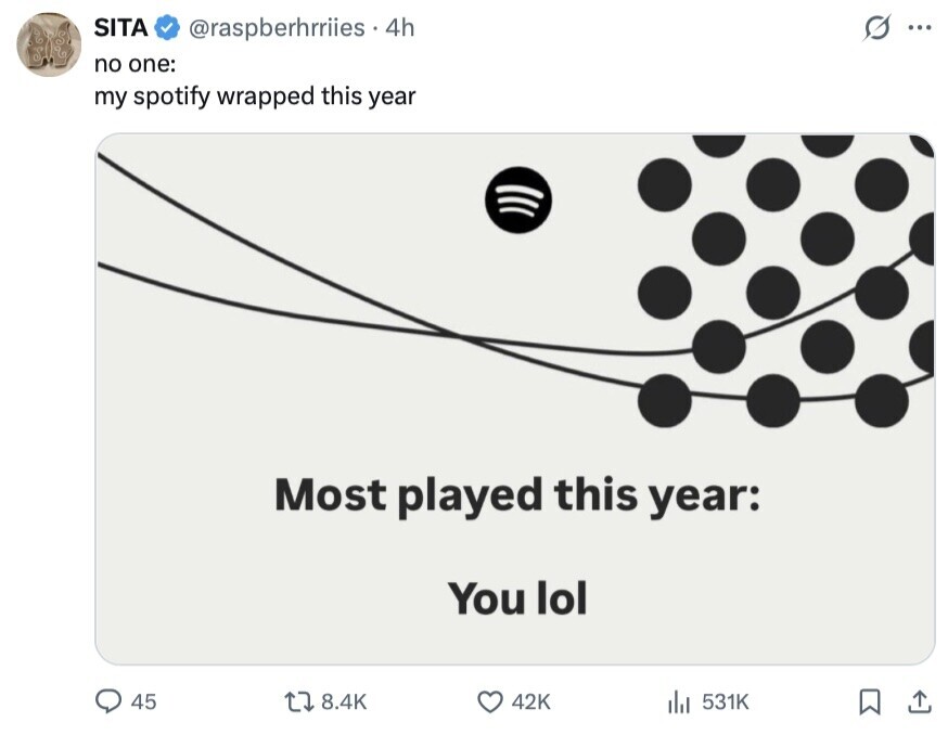 SITA G ... @raspberhrriies 4h no one: my spotify wrapped this year Most played this year: You lol 45 8.4K 42K 531K 