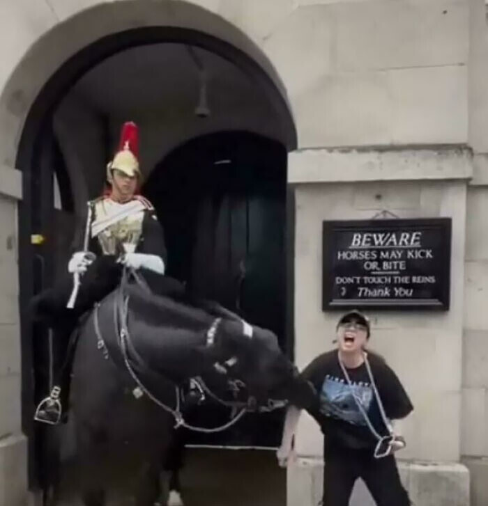 20 Tourists Showing That Travel Can't Fix Entitlement