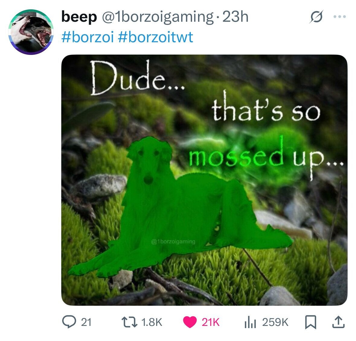 beep @1borzoigaming.23h ... #borzoi #borzoitwt Dude... that's SO mossed up... @1borzoigaming 21K 21 1.8K 259K 