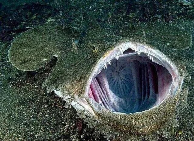 Photos Where Not Everything is as it Seems