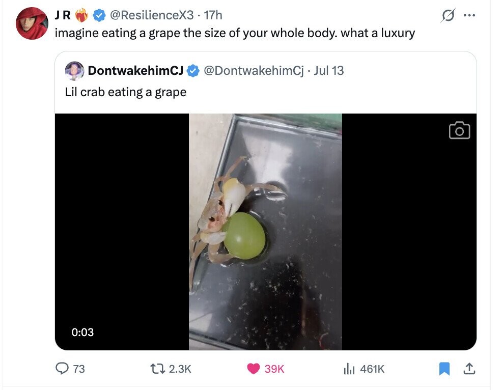 JR @ResilienceX3 17h ... imagine eating a grape the size of your whole body. what a luxury DontwakehimCJ @DontwakehimCj - Jul 13 Lil crab eating a grape 0:03 73 2.3K 39K del 461K 