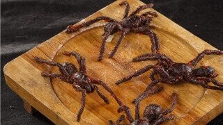 15 Creepy-Crawlies You’ve Probably Never Eaten But Should