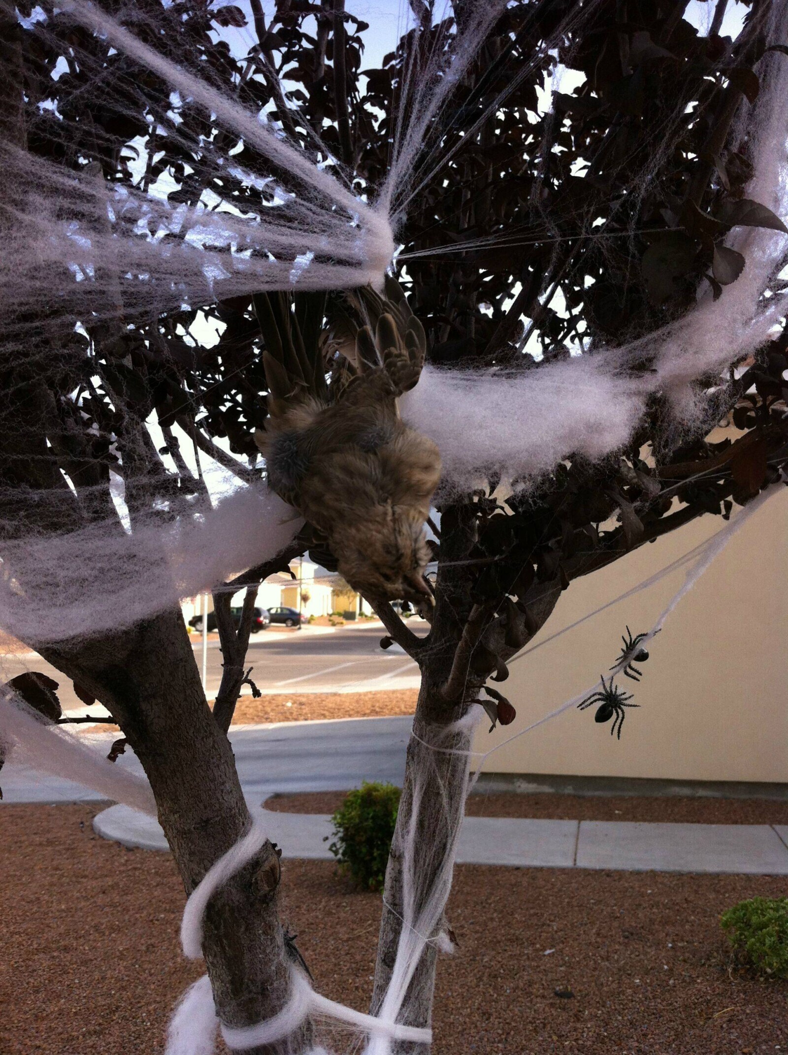 DIY Halloween Projects That Became the Real Horror