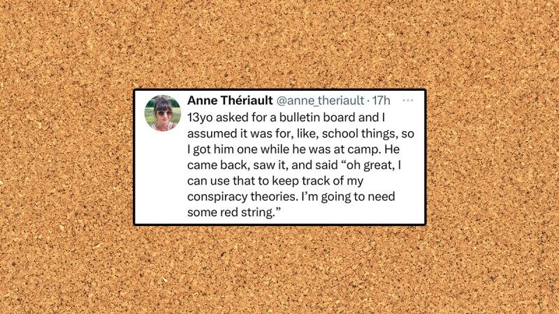 39 of the Funniest Tweets from Tuesday, August 13, 2024