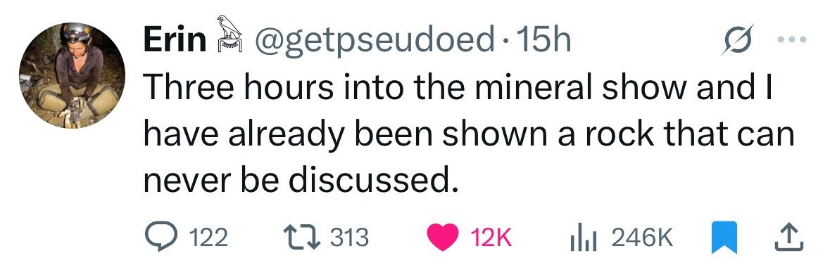 Erin @getpseudoed 1 15h Three hours into the mineral show and I have already been shown a rock that can never be discussed. 122 313 12K 246K 