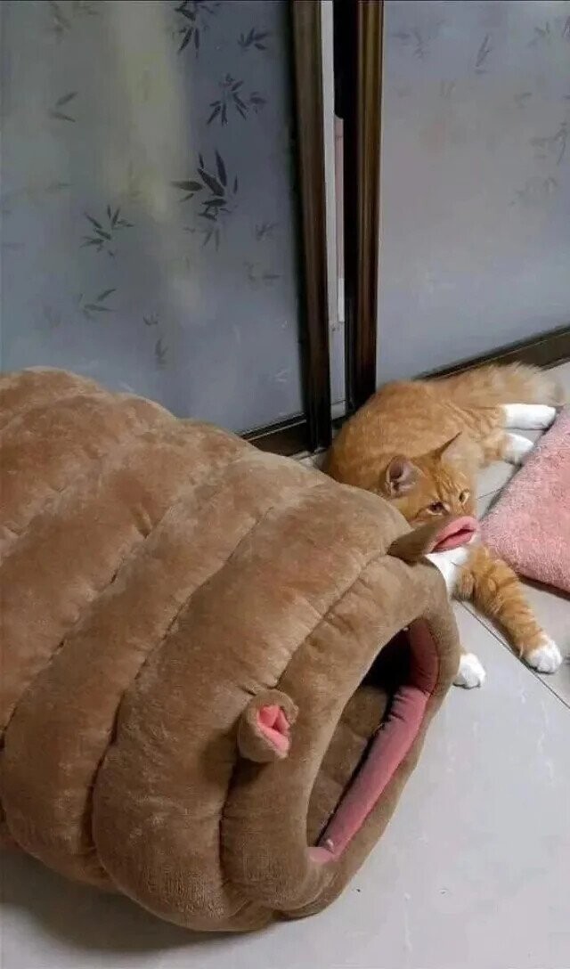 Photos Where Not Everything is as it Seems