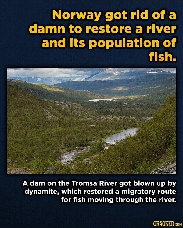 Norway got rid of a damn to restore a river and its population of fish. A dam on the Tromsa River got blown up by dynamite, which restored a migratory route for fish moving through the river. CRACKED.COM
