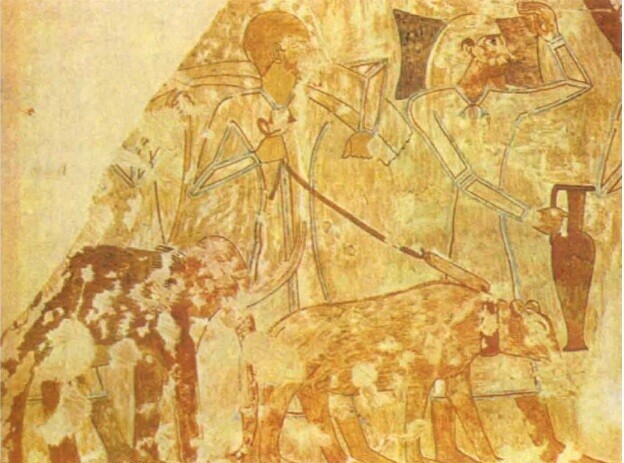 Rare Historical Moments That Really Happened