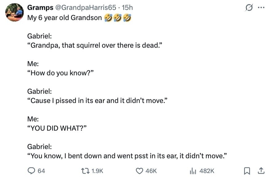 Gramps @GrandpaHarris65 . 15h G ... My 6 year old Grandson Gabriel: Grandpa, that squirrel over there is dead. Me: How do you know? Gabriel: Cause I pissed in its ear and it didn't move. Me: YOU DID WHAT? Gabriel: You know, I bent down and went psst in its ear, it didn't move. 64 1.9K 46K del 482K 