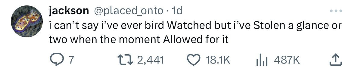 jackson @placed_onto 1d ... i i can't say i've ever bird Watched but i've Stolen a glance or two when the moment Allowed for it 7 2,441 18.1K 487K