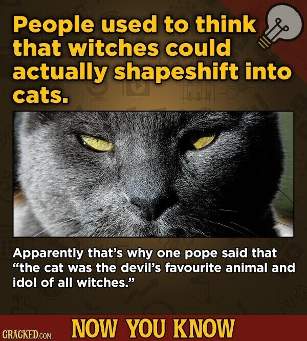 People used to think that witches could actually shapeshift into cats. Apparently that's why one pope said that the cat was the devil's favourite animal and idol of all witches. NOW YOU KNOW CRACKED.COM