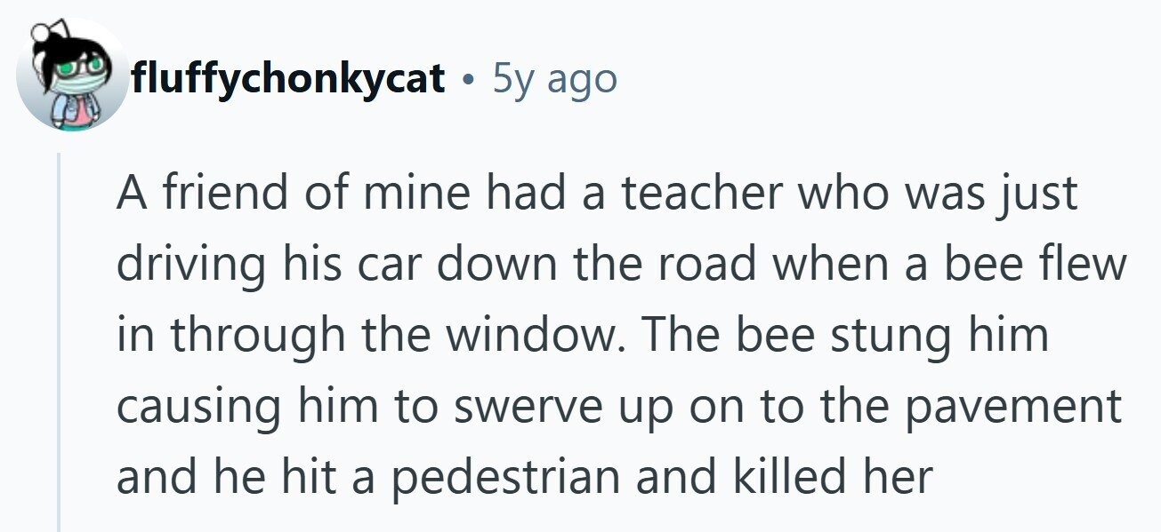 fluffychonkycat. 5y ago A friend of mine had a teacher who was just driving his car down the road when a bee flew in through the window. The bee stung him causing him to swerve up on to the pavement and he hit a pedestrian and killed her