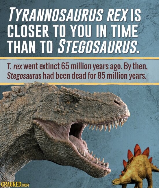TYRANNOSAURUS REX IS CLOSER TO YOU IN TIME THAN TO STEGOSAURUS. T. rex went extinct 65 million years ago. By then, Stegosaurus had been dead for 85 million years. CRACKED.COM