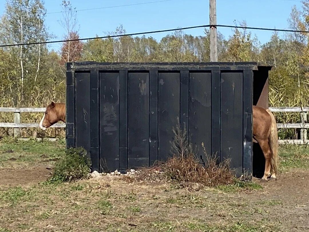 Photos Where Not Everything is as it Seems