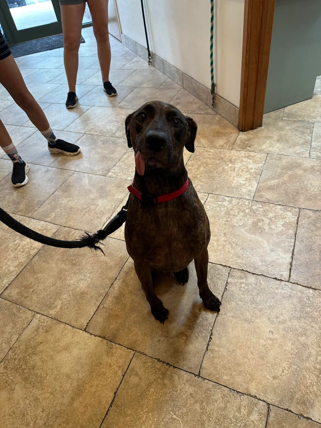 Animals Looking More Smug Than They Deserve to Be