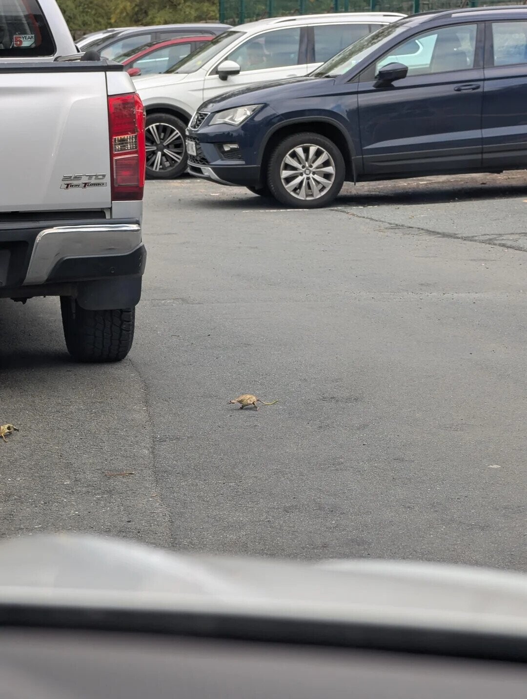 Photos Where Not Everything is as it Seems