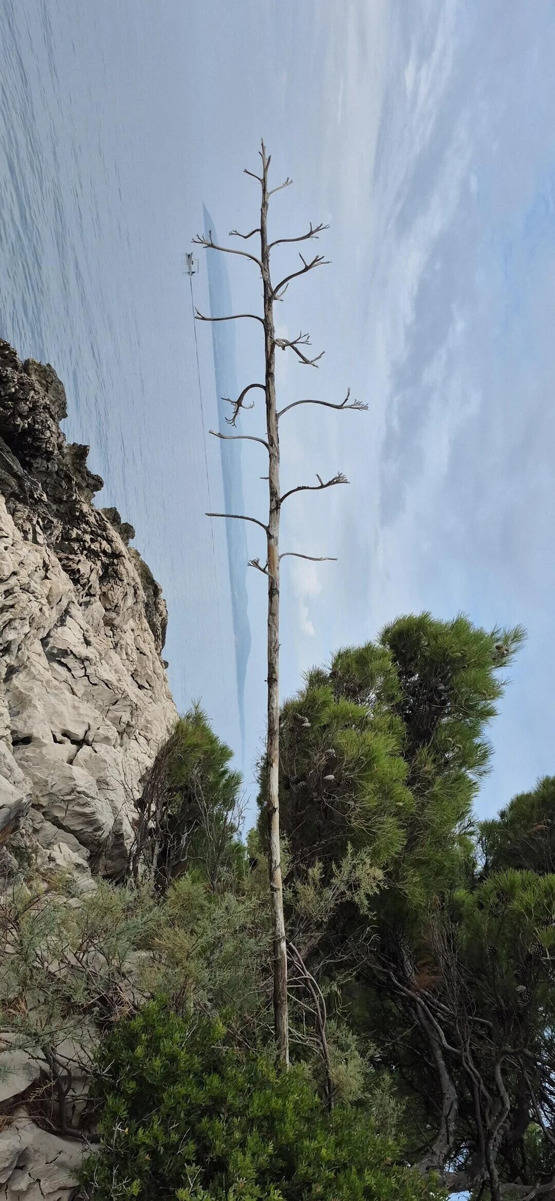 Zen to Zaney Photos Playing Tricks With Your Eyes