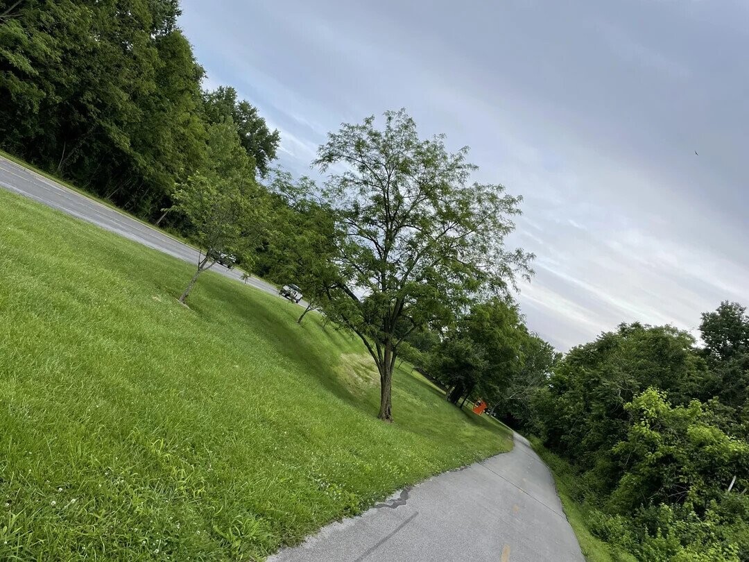 Zen to Zaney Photos Playing Tricks With Your Eyes