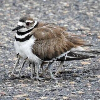 Zen to Zaney Photos Playing Tricks With Your Eyes