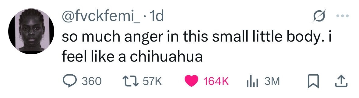 @fvckfemi_.1 1d so much anger in this small little body.i feel like a chihuahua 360 57K 164K 3M 