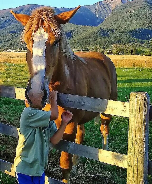 Photos Where Not Everything is as it Seems