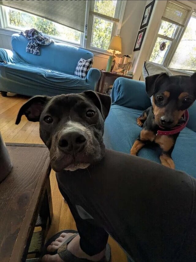 Zen to Zaney Photos Playing Tricks With Your Eyes