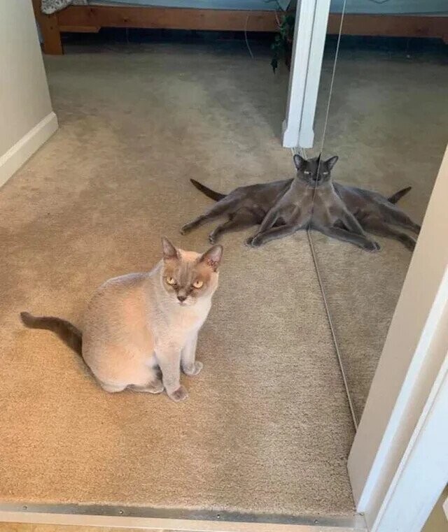 Photos Where Not Everything is as it Seems