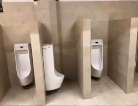 Photos Where Ignorance Abruptly Stopped Being Bliss