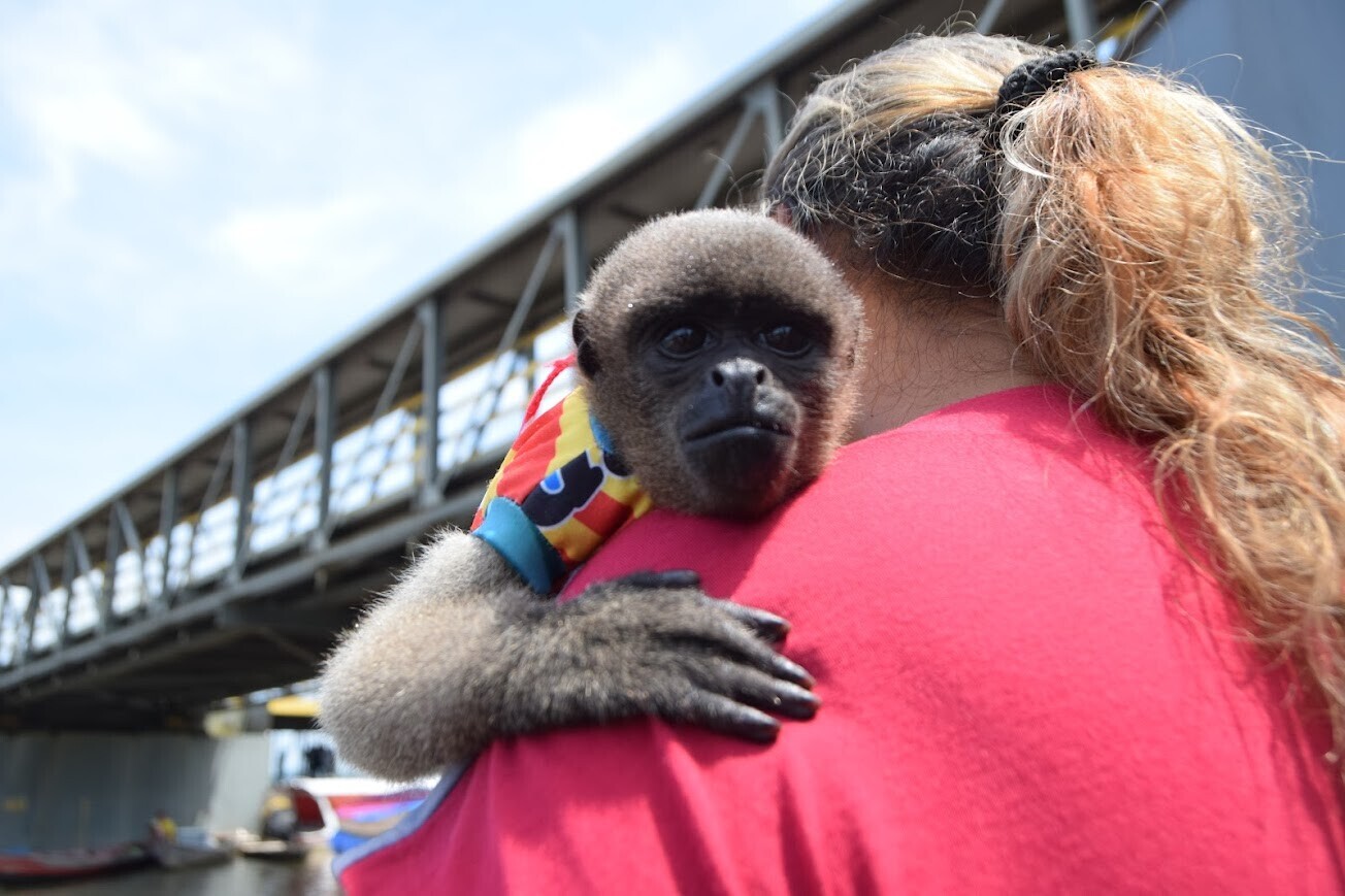 Photos Showing Carnival Isn't Brazil's Only Parade