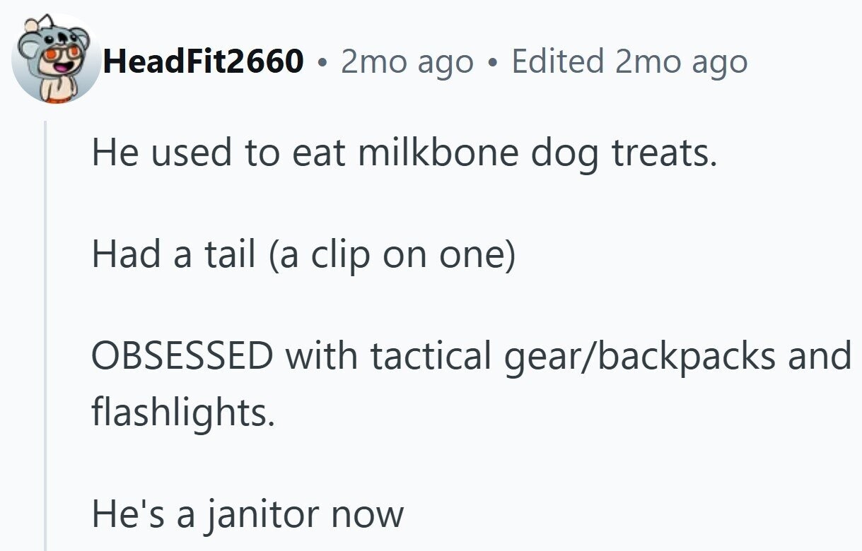 HeadFit2660 2mo ago Edited 2mo ago Не used to eat milkbone dog treats. Had a tail (a clip on one) OBSESSED with tactical gear/backpacks and flashlights. He's a janitor now