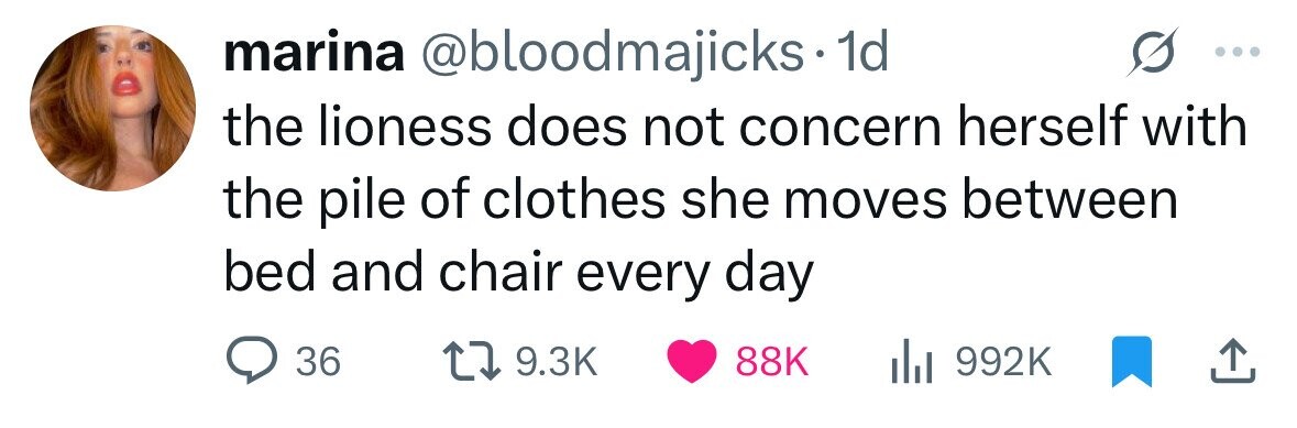 marina @bloodmajicks 1d the lioness does not concern herself with the pile of clothes she moves between bed and chair every day 36 9.3K 88K 992K