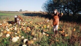 What the Fall Season Looked Like in the 1970s