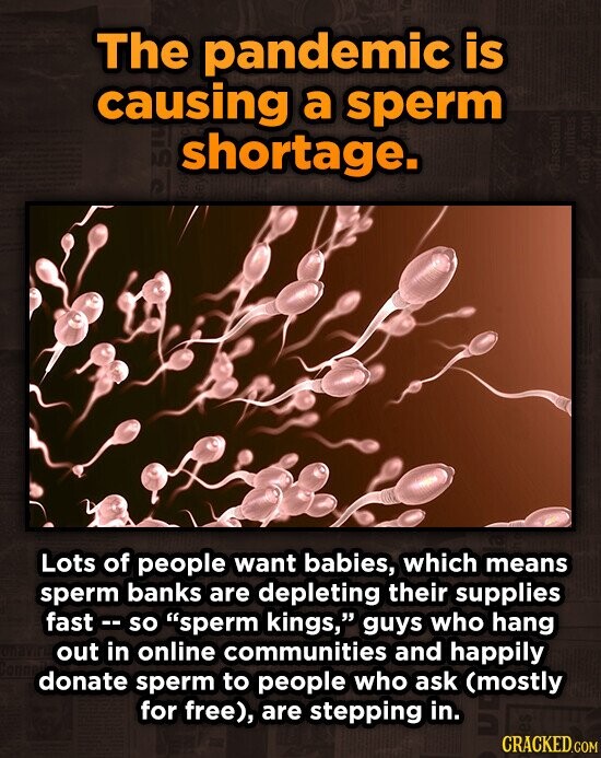 The pandemic is causing a sperm shortage. Lots of people want babies, which means sperm banks are depleting their supplies fast- so sperm kings,' gu