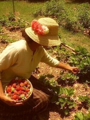 What the Fall Season Looked Like in the 1970s