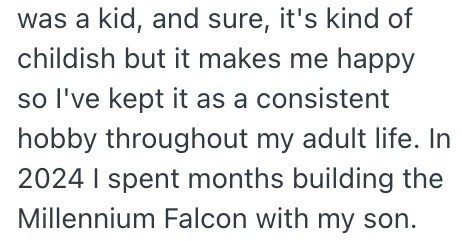 was a kid, and sure, it's kind of childish but it makes me happy so I've kept it as a consistent hobby throughout my adult life. In 2024 I spent months building the Millennium Falcon with my son.