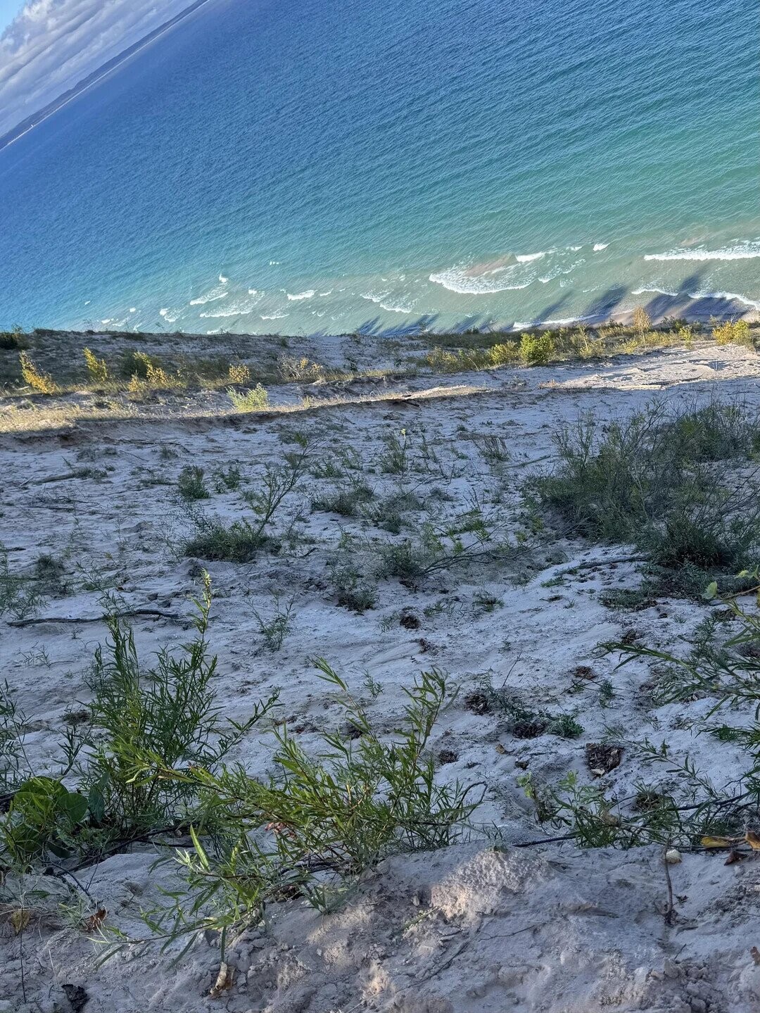 Zen to Zaney Photos Playing Tricks With Your Eyes