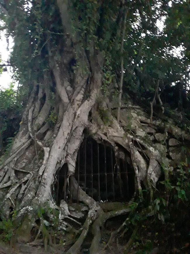 Photos Showing Carnival Isn't Brazil's Only Parade