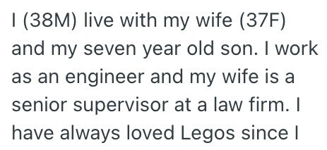 I (38M) live with my wife (37F) and my seven year old son. I work as an engineer and my wife is a senior supervisor at a law firm. I have always loved Legos since I