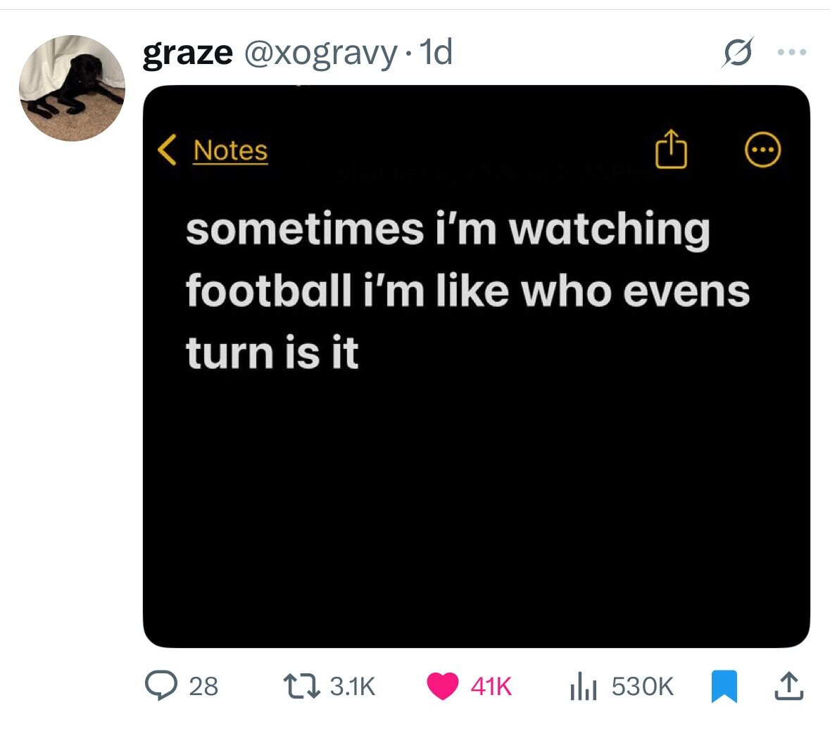 graze @xogravy 1d ... Notes ... sometimes i'm watching football i'm like who evens turn is it 28 3.1K 41K 530K 