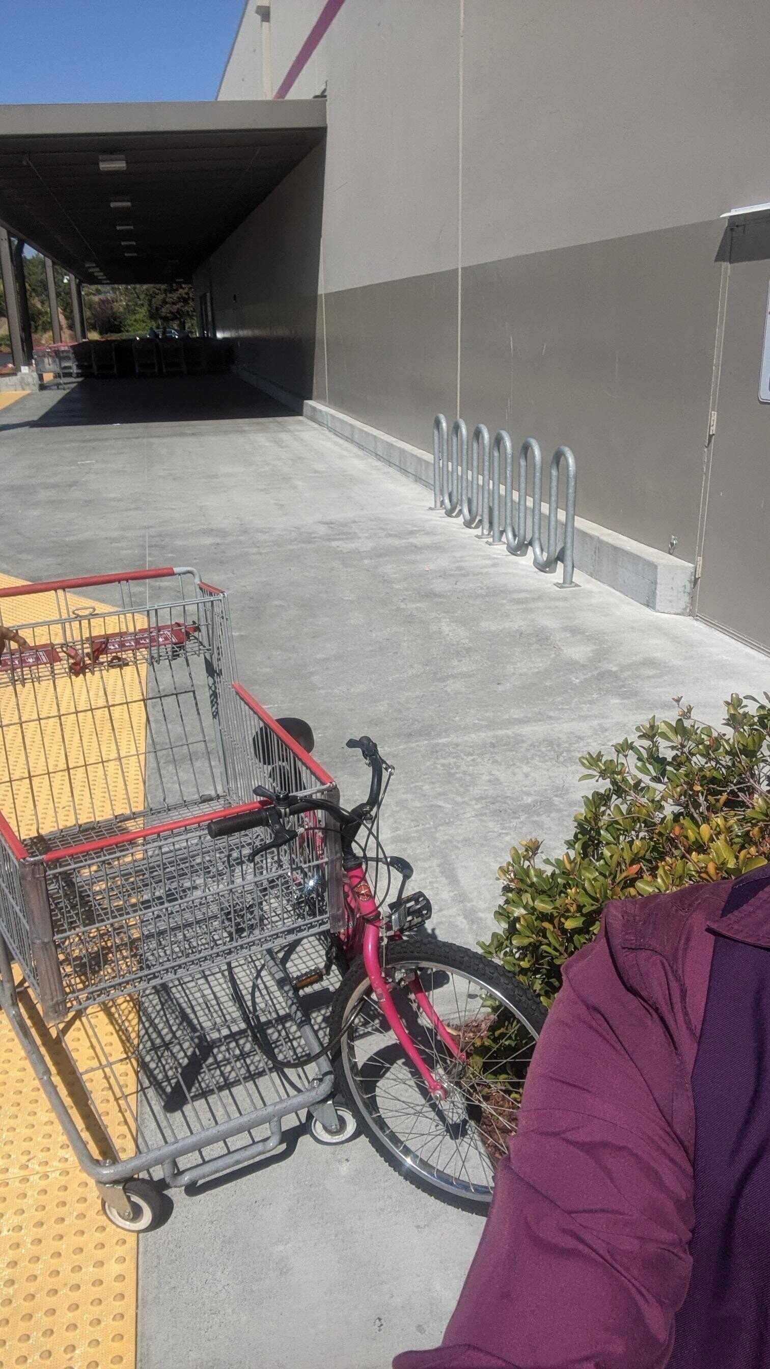 20 Photos Where Common Sense is Clearly Lacking