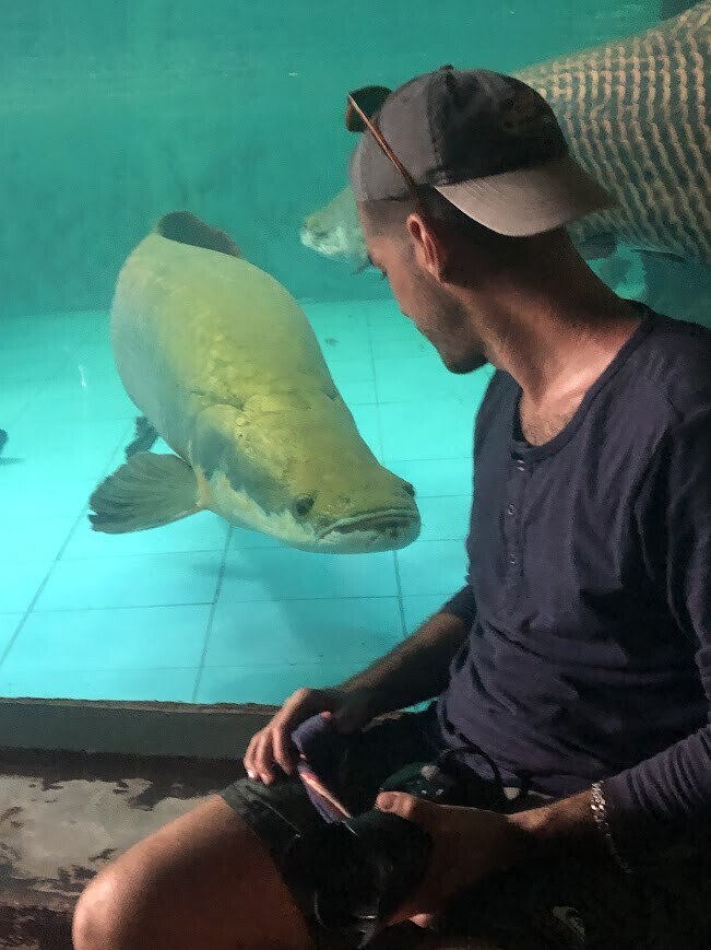 Photos Showing Carnival Isn't Brazil's Only Parade