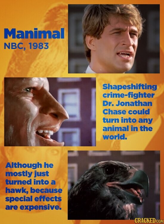 Manimal NBC, 1983 Shapeshifting crime-fighter Dr. Jonathan Chase could turn into any animal in the world. Although he mostly just turned into a hawk, because special effects are expensive. CRACKED.COM
