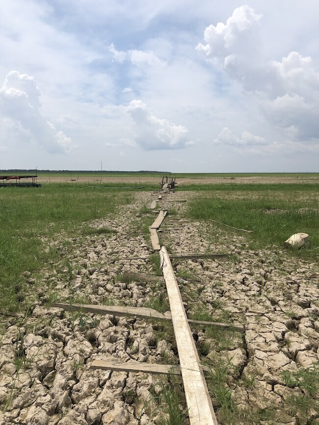 Photos Showing Carnival Isn't Brazil's Only Parade