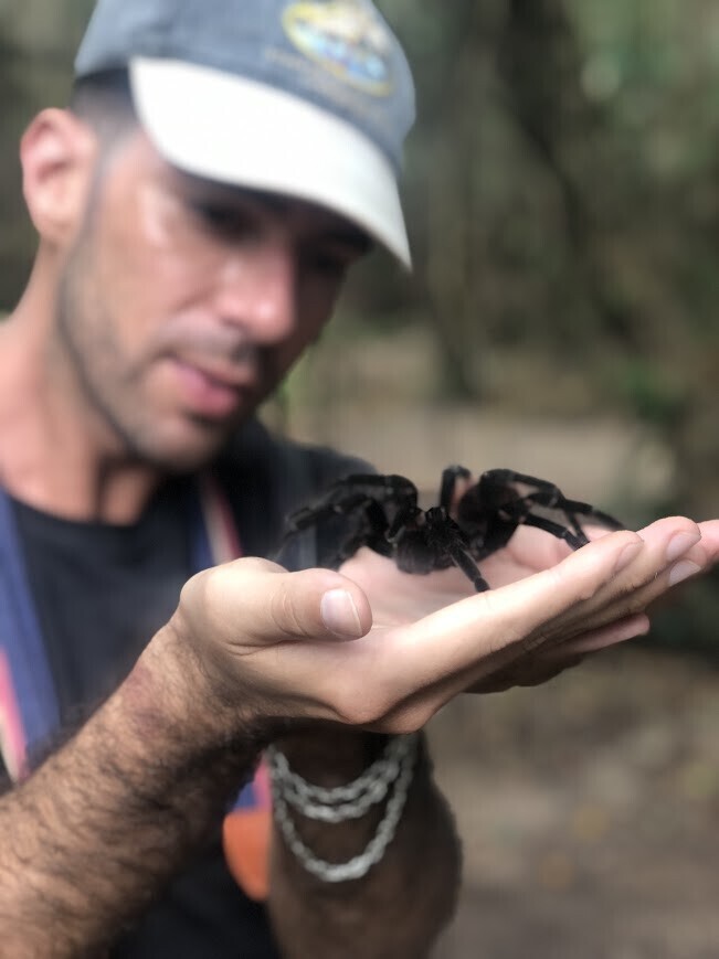 Photos Showing Carnival Isn't Brazil's Only Parade