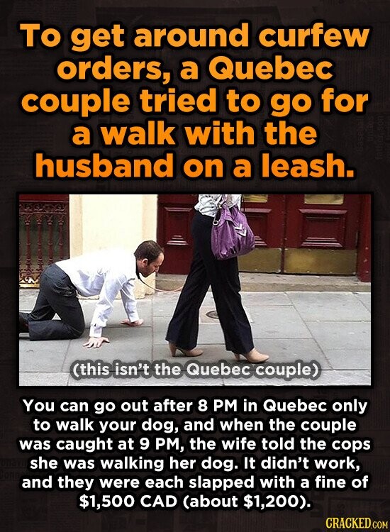 To get around curfew orders, a Quebec couple tried to go for a walk with the husband on a leash. (this isn't the Quebec couple) You can go out after 8