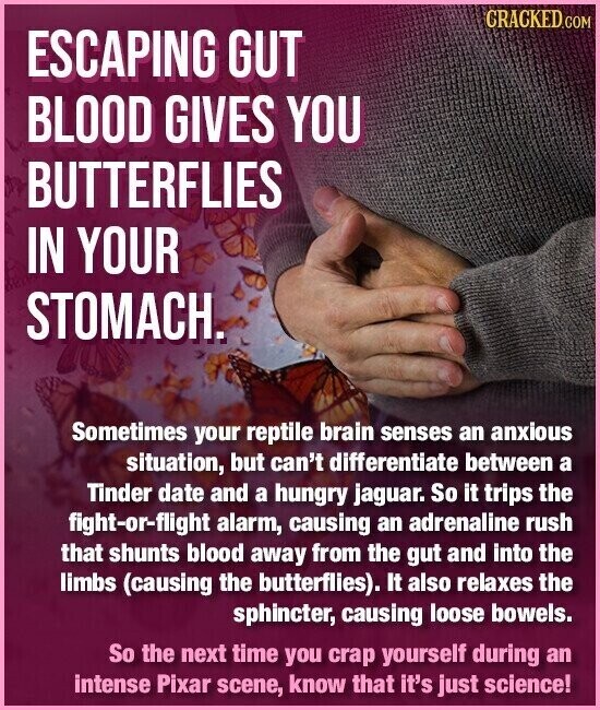 CRACKED.COM ESCAPING GUT BLOOD GIVES YOU BUTTERFLIES IN YOUR STOMACH. Sometimes your reptile brain senses an anxious situation, but can't differentiate between a Tinder date and a hungry jaguar. So it trips the fight-or-flight alarm, causing an adrenaline rush that shunts blood away from the gut and into the limbs (causing the butterflies). It also relaxes the sphincter, causing loose bowels. So the next time you crap yourself during an intense Pixar scene, know that it's just science!